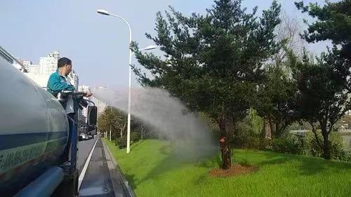 綠化養(yǎng)護4