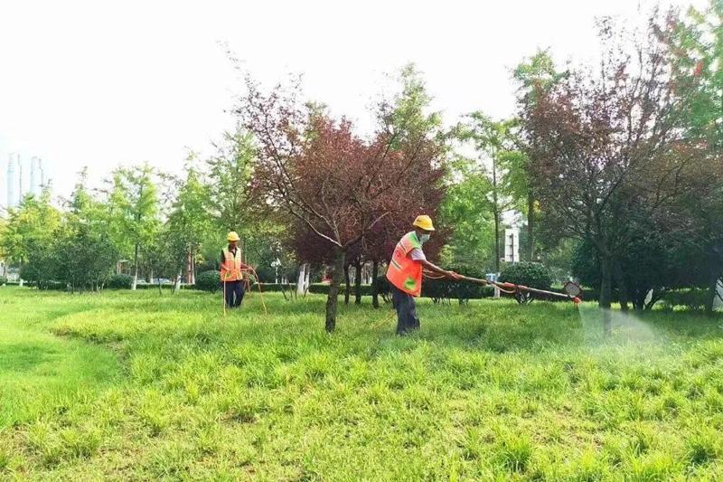 綠化養(yǎng)護5